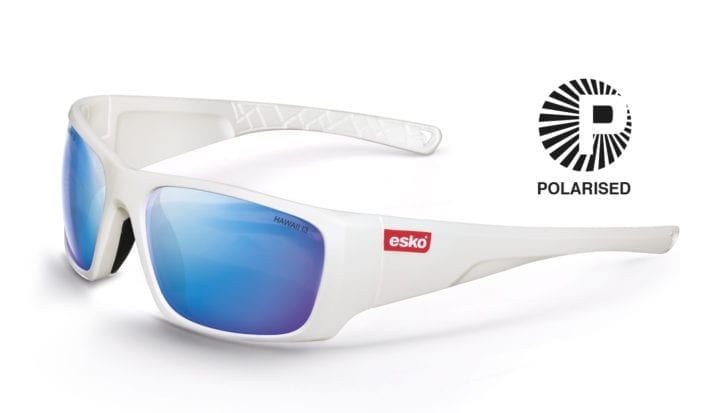 Esko Polarised Destination Spec - Image 8