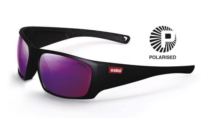 Esko Polarised Destination Spec - Image 2